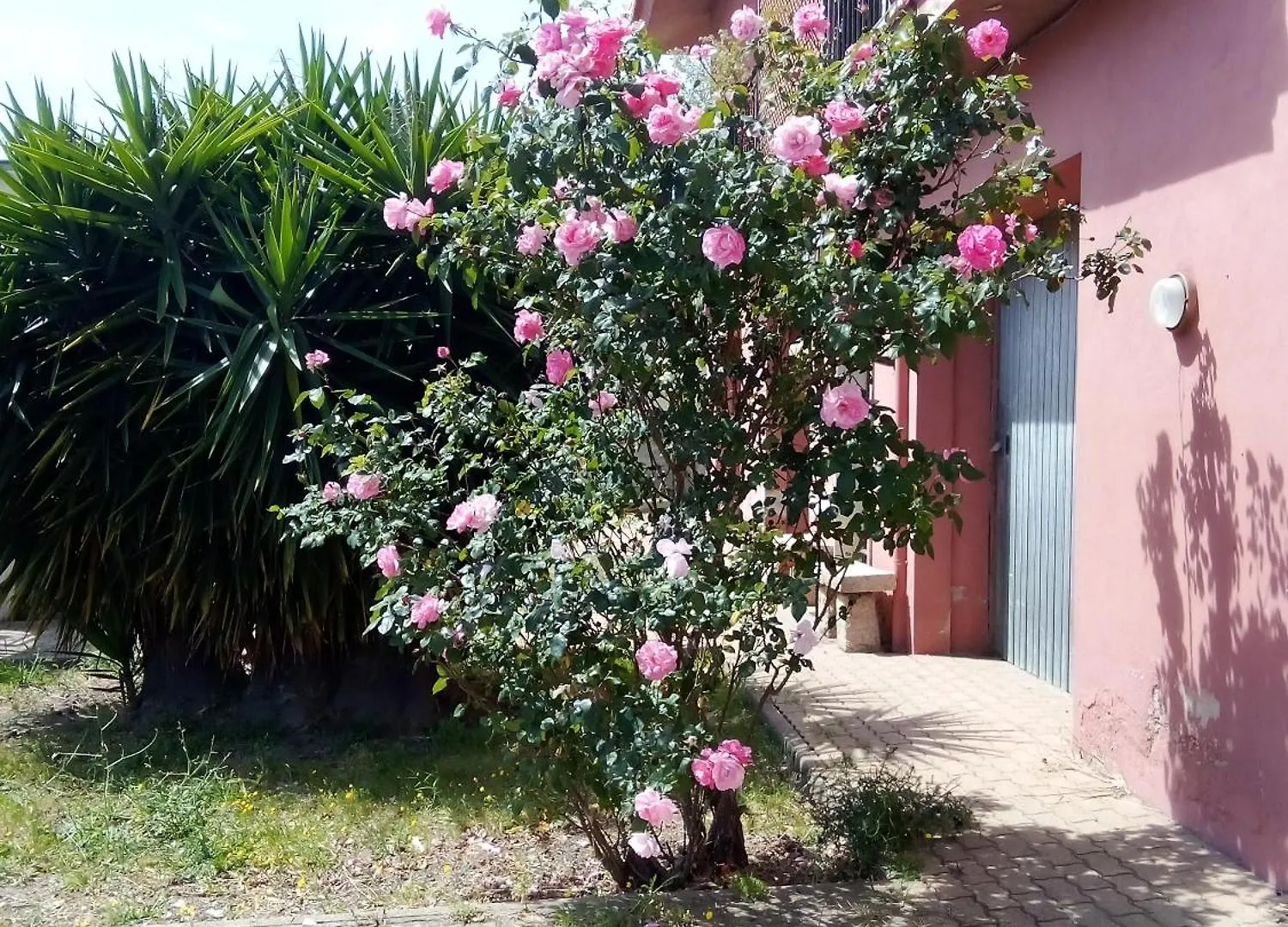 Séjour chez l'habitant Smeralda Suite Olbia Italie